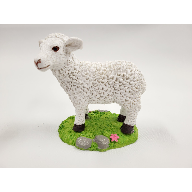 Baranek z Poliryzonu